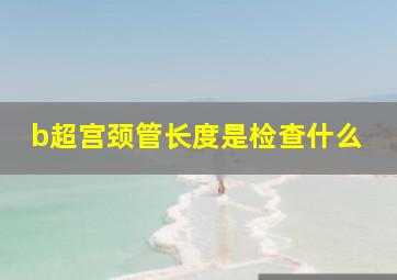 b超宫颈管长度是检查什么