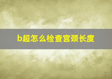 b超怎么检查宫颈长度