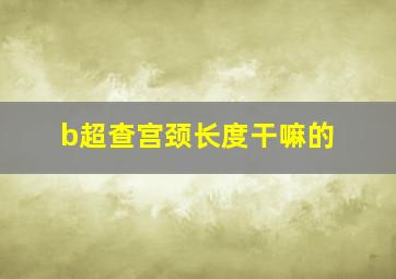 b超查宫颈长度干嘛的