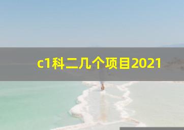 c1科二几个项目2021