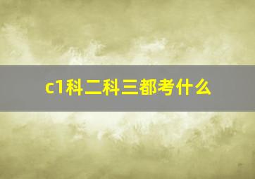 c1科二科三都考什么