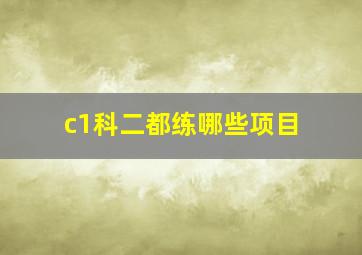 c1科二都练哪些项目