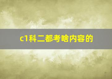 c1科二都考啥内容的