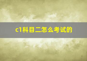 c1科目二怎么考试的