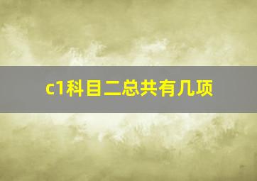 c1科目二总共有几项