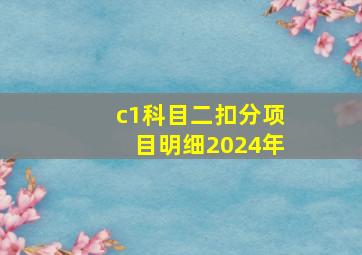 c1科目二扣分项目明细2024年