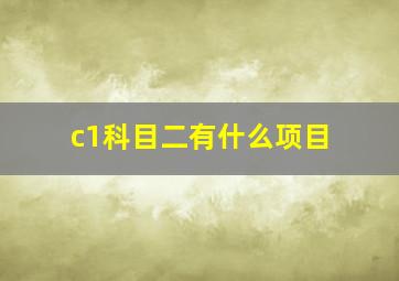 c1科目二有什么项目