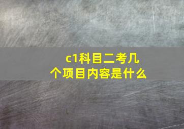 c1科目二考几个项目内容是什么