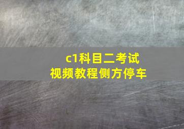 c1科目二考试视频教程侧方停车