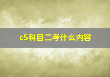 c5科目二考什么内容