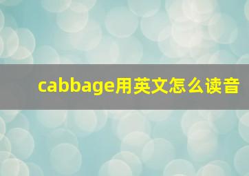 cabbage用英文怎么读音