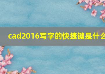 cad2016写字的快捷键是什么