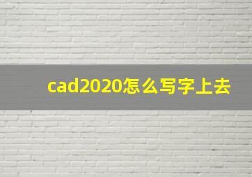 cad2020怎么写字上去