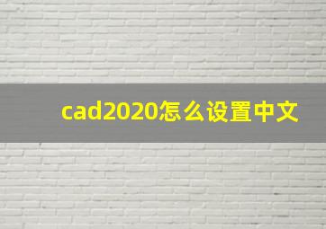 cad2020怎么设置中文