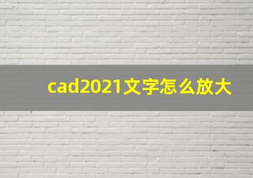 cad2021文字怎么放大