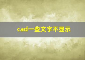 cad一些文字不显示