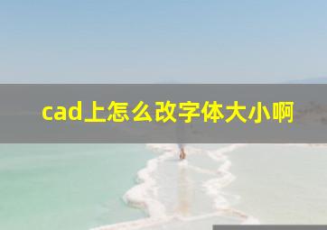 cad上怎么改字体大小啊