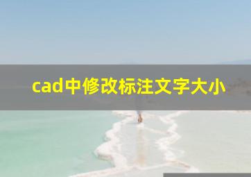 cad中修改标注文字大小