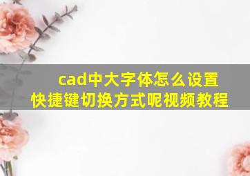 cad中大字体怎么设置快捷键切换方式呢视频教程