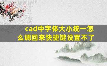 cad中字体大小统一怎么调回来快捷键设置不了