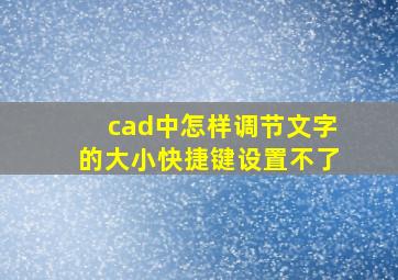 cad中怎样调节文字的大小快捷键设置不了