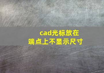 cad光标放在端点上不显示尺寸