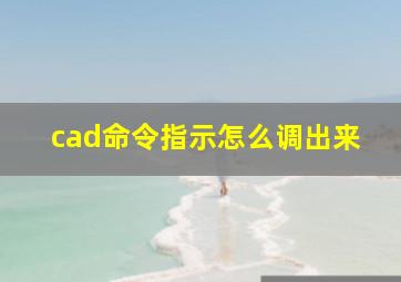 cad命令指示怎么调出来