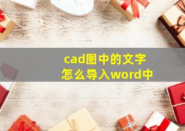 cad图中的文字怎么导入word中