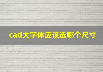 cad大字体应该选哪个尺寸