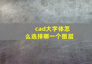 cad大字体怎么选择哪一个图层