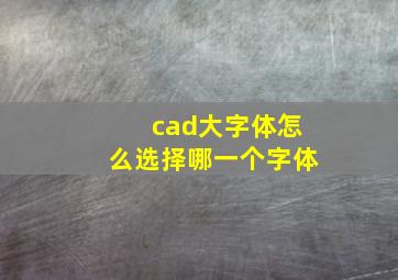 cad大字体怎么选择哪一个字体