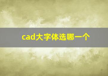 cad大字体选哪一个