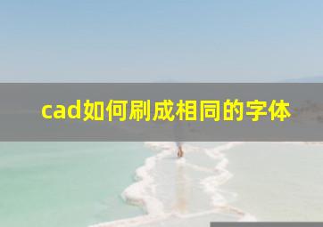 cad如何刷成相同的字体