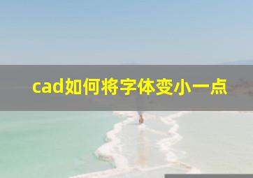 cad如何将字体变小一点