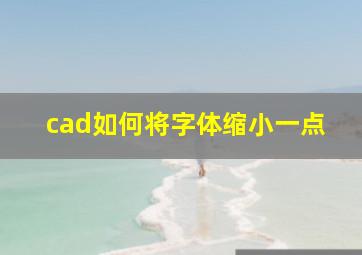 cad如何将字体缩小一点