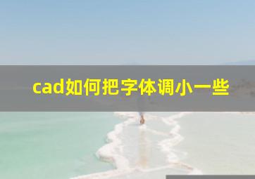 cad如何把字体调小一些