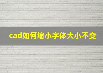 cad如何缩小字体大小不变