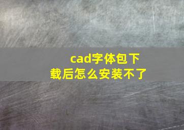 cad字体包下载后怎么安装不了