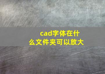 cad字体在什么文件夹可以放大