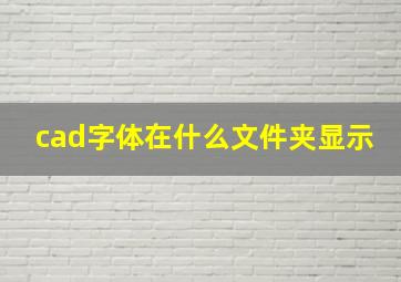 cad字体在什么文件夹显示