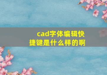 cad字体编辑快捷键是什么样的啊