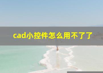 cad小控件怎么用不了了