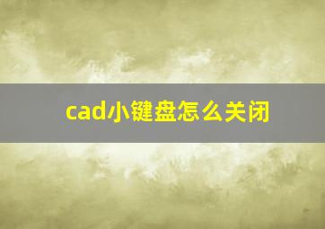 cad小键盘怎么关闭