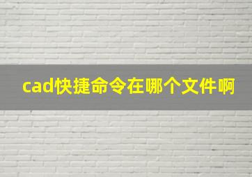 cad快捷命令在哪个文件啊