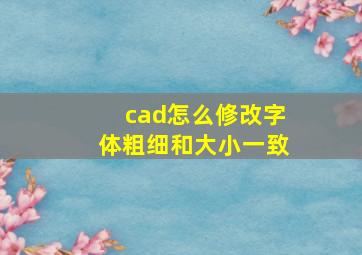 cad怎么修改字体粗细和大小一致