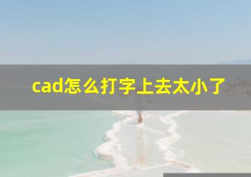 cad怎么打字上去太小了