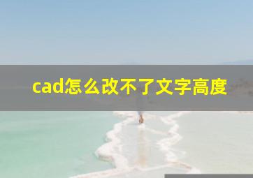 cad怎么改不了文字高度