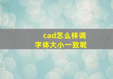 cad怎么样调字体大小一致呢