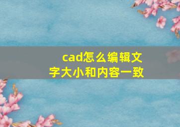 cad怎么编辑文字大小和内容一致