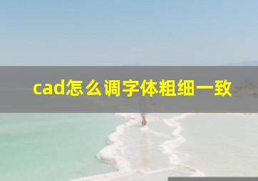 cad怎么调字体粗细一致